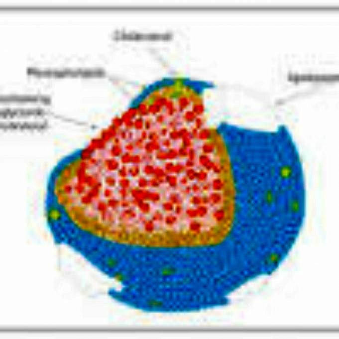 Prednisone Et Cholesterol LDL